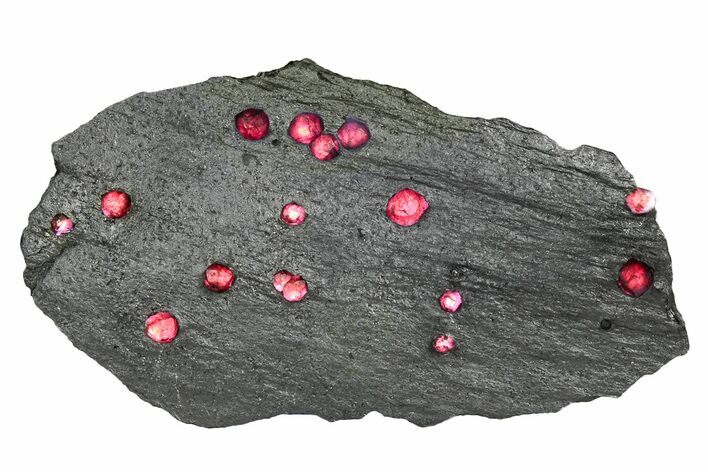 Plate of Red Embers Garnets in Graphite - Massachusetts #301212